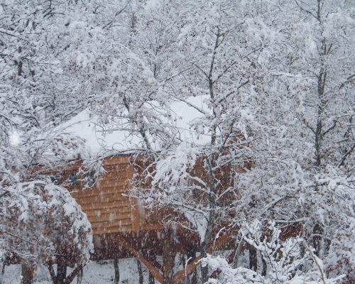 11_la-cabane-du-bosquet-des-chenes600_400-e1500114224693.jpg